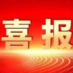 中國礦業(yè)聯(lián)合會再次被民政部授予“全國先進社會組織”榮譽稱號