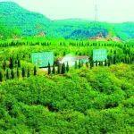 執(zhí)“綠”為筆，循“美”繪新篇