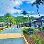 萬國黃金與紫金礦業(yè)