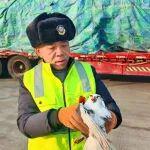 巡查奇遇：受傷的“紅眼俠”竟是國(guó)家二級(jí)保護(hù)動(dòng)物！