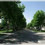 情暖歲寒時 關(guān)懷潤民心 | 華柴公司黨委開展春節(jié)走訪慰問活動