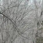 從人口紅利看中國發(fā)展?jié)摿薮螅? title=