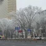 為什么說黃金是人類價(jià)值的終極標(biāo)尺？