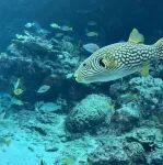 中國(guó)第五大大宗商品產(chǎn)業(yè)服務(wù)商及交易商杭州熱聯(lián)集團(tuán)正式向港交所遞交上市招股書(shū)