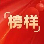 榜樣｜致敬標(biāo)兵！實干立標(biāo)桿，奮斗筑華章