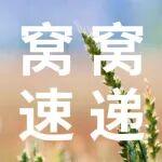 窩窩速遞｜沃家馬年啟新程：新春同賀，蓄勢共進(jìn)，邁向新篇