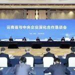 陳文健應(yīng)邀出席云南省與中央企業(yè)深化合作懇談會(huì)