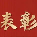祝賀！2025年度中國(guó)中冶市場(chǎng)營(yíng)銷評(píng)優(yōu)評(píng)先表彰名單發(fā)布