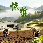 驚蟄｜春雷乍動(dòng)，萬物生機(jī)盎然
