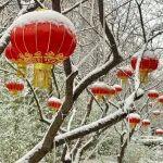 觀點共享 | 美國關(guān)鍵礦產(chǎn)全球戰(zhàn)略的邏輯演變——從MSP“多邊協(xié)調(diào)”到FORGE“制度性聯(lián)盟”
