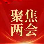 關(guān)鍵礦產(chǎn)的“飯碗”必須牢牢端在自己手中——全國(guó)兩會(huì)代表委員熱議戰(zhàn)略性礦產(chǎn)安全保障