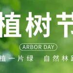 植樹節(jié) | 手植一片綠 自然林距離