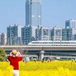 2026年鐵路春運收官！他們曾這樣點贊！