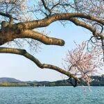 觀點(diǎn)共享 | 全國(guó)兩會(huì)有色金屬行業(yè)代表委員建言掃描