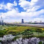 觀點(diǎn)共享 | 鋁：國內(nèi)庫存表現(xiàn)羸弱，價格缺乏上攻動力