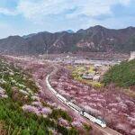 2026年鐵路清明假期運輸圓滿收官