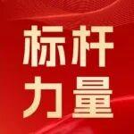 【標桿的力量】劉小林：十六載拓疆非洲，實干鑄標桿
