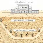 視角·觀點(diǎn)┃安徽理工大學(xué)楊柳博士：量子技術(shù)在煤礦科學(xué)開(kāi)采中的應(yīng)用展望