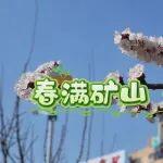 春滿礦山！