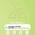 跨越山海的口碑！吉爾吉斯斯坦客戶力薦，大宏立深耕海外市場