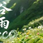TZCO | 雨潤百谷，春生萬物