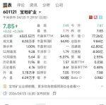 新疆寶地礦業(yè)（601121）2025年年度報(bào)告摘要