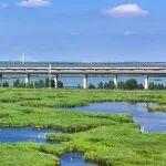 漲！一季度成績(jī)單公布！