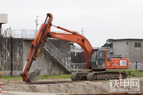 日本新泻区(日)