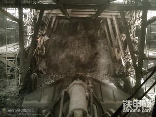 这里，我和它们度过了400多个日夜