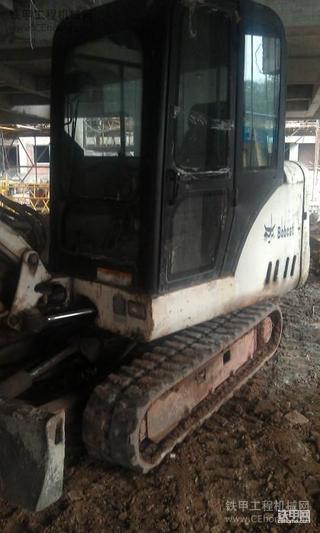 今天试机拍的小山猫。