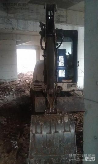 今天试机拍的小山猫。