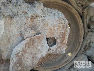 看这小松值多少 米