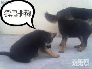 有用这东东的话谈谈你的用后感言吧！