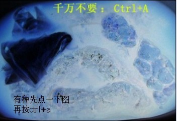 看此圖千萬(wàn)別按CTRL+A (否則....）