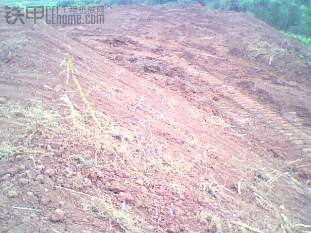 乌梅基地挖山种树 请高手指点