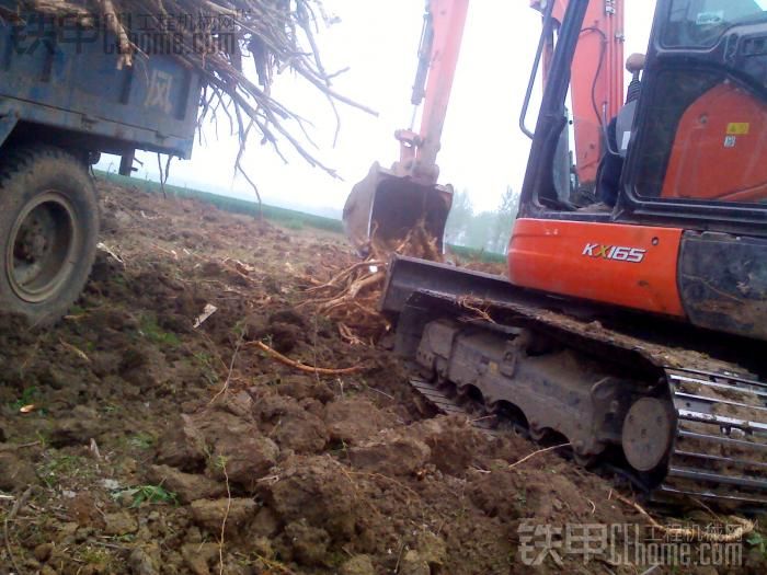 挖機(jī)被燒、樓房基礎(chǔ)、樹根！