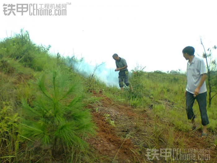 斗山、小松、玉柴、三一各霸山頭上演油茶開(kāi)發(fā)基地的故事！