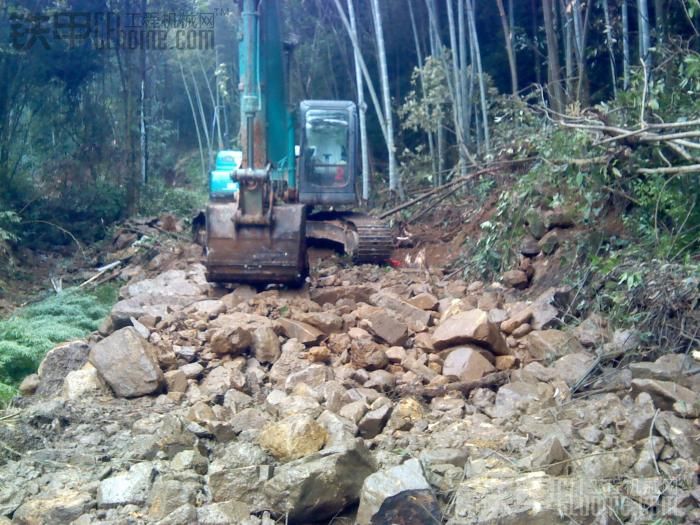 神鋼走進樹林、遭殃啊