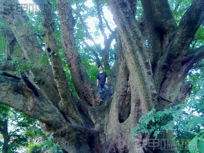 隧道工作图 附带本人照片 与大量风景照~！ 向广大隧道司机致敬~！