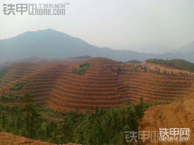 隨便一打