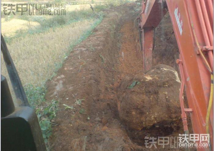 挖出来一蛋比斗还大，可费不少的时间啊。