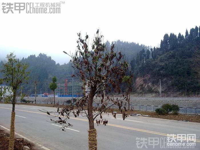 這就是今天的主題，由于下雨導(dǎo)致水排不出去樹(shù)都淹死了，，所以就要挖個(gè)溝讓它透氣。。保證成活。。
