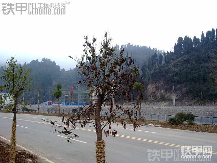 這就是今天的主題，由于下雨導(dǎo)致水排不出去樹都淹死了，，所以就要挖個(gè)溝讓它透氣。。保證成活。。