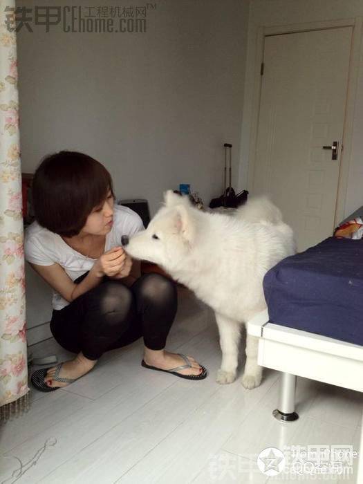 姐姐和愛犬 白大胖