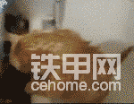 我跳，跳再跳，還跳