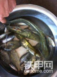 逮到的魚