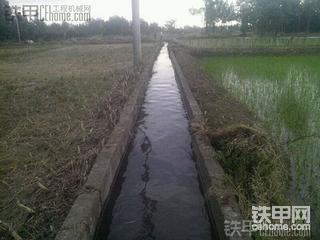 崇州道明挖機(jī)手之。。。家鄉(xiāng)記憶（附瘋牛事件）