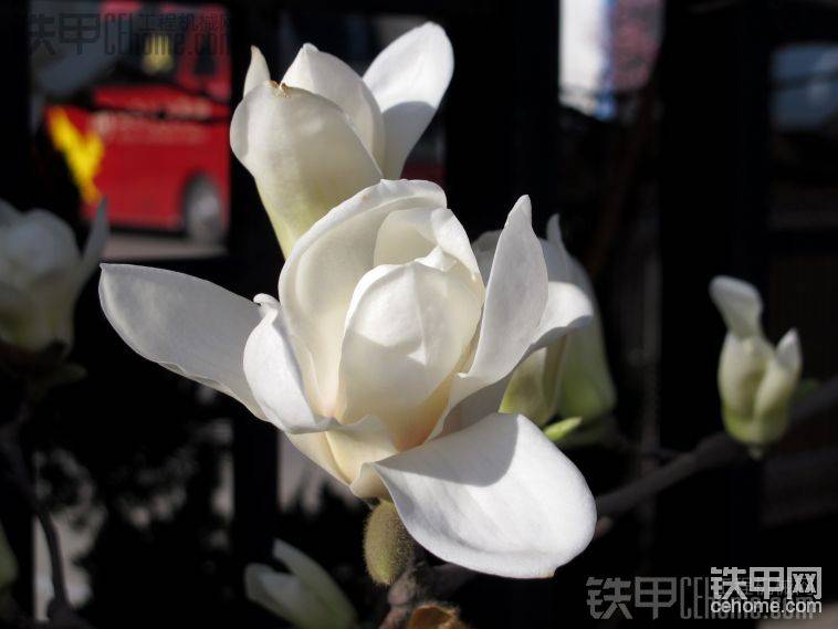 圖片