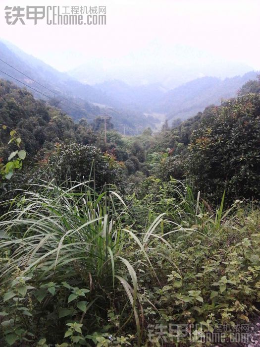 國慶我老爸的住友75打破碎錘