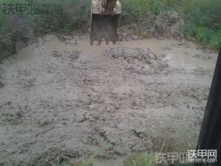 老板是敗家仔叫用挖機搞菜地